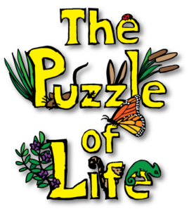 The new Puzzle of Life title design.
